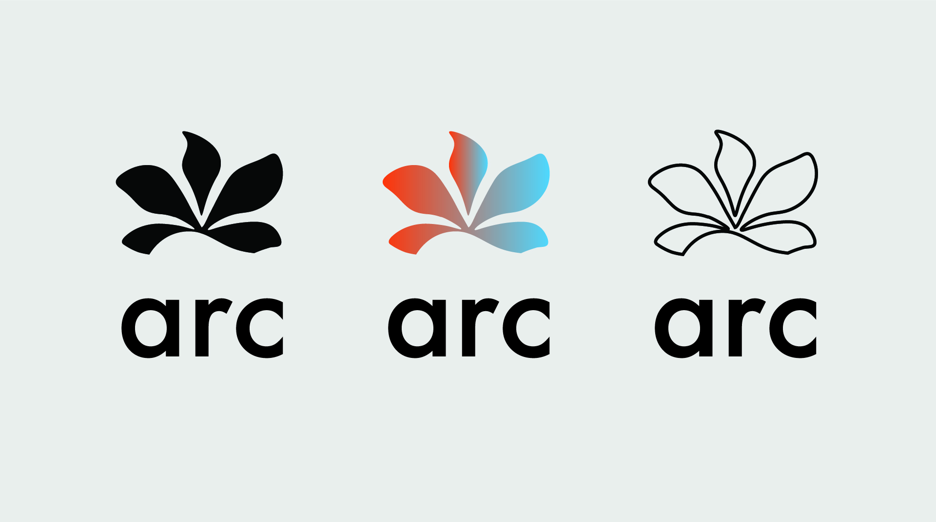arc-06 arc-06